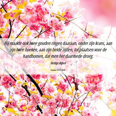 Picture 06 - Exodus 37:27 NLD - Hij maakte ook twee gouden ringen daaraan, onder - Bible Verse Picture