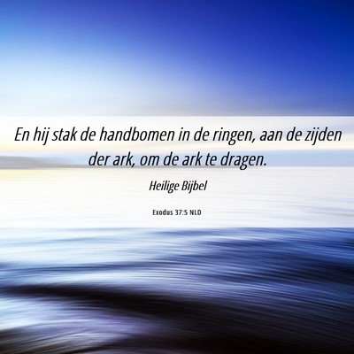 Picture 06 - Exodus 37:5 NLD - En hij stak de handbomen in de ringen, aan de - Bible Verse Picture