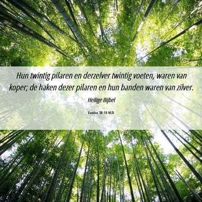Picture 06 - Exodus 38:10 NLD - Hun twintig pilaren en derzelver twintig voeten, - Bible Verse Picture