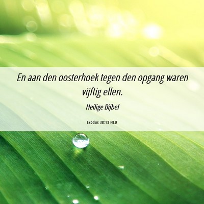 Picture 06 - Exodus 38:13 NLD - En aan den oosterhoek tegen den opgang waren - Bible Verse Picture