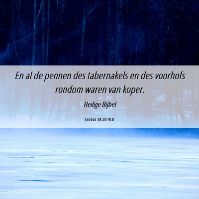 Picture 06 - Exodus 38:20 NLD - En al de pennen des tabernakels en des voorhofs - Bible Verse Picture