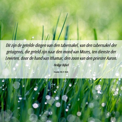 Picture 06 - Exodus 38:21 NLD - Dit zijn de getelde dingen van den tabernakel, - Bible Verse Picture