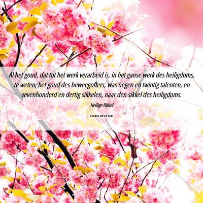Picture 06 - Exodus 38:24 NLD - Al het goud, dat tot het werk verarbeid is, in - Bible Verse Picture