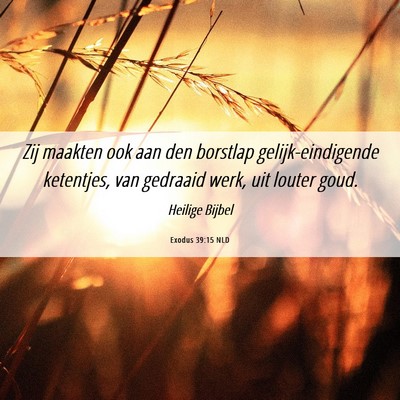 Picture 06 - Exodus 39:15 NLD - Zij maakten ook aan den borstlap - Bible Verse Picture