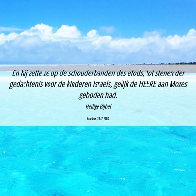 Picture 06 - Exodus 39:7 NLD - En hij zette ze op de schouderbanden des efods, - Bible Verse Picture