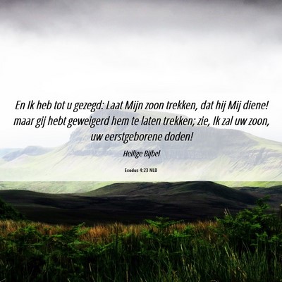 Picture 06 - Exodus 4:23 NLD - En Ik heb tot u gezegd: Laat Mijn zoon trekken, - Bible Verse Picture