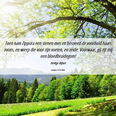 Picture 06 - Exodus 4:25 NLD - Toen nam Zippora een stenen mes en besneed de - Bible Verse Picture