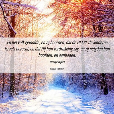 Picture 06 - Exodus 4:31 NLD - En het volk geloofde, en zij hoorden, dat de - Bible Verse Picture