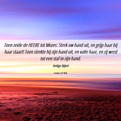 Picture 06 - Exodus 4:4 NLD - Toen zeide de HEERE tot Mozes: Strek uw hand uit, - Bible Verse Picture