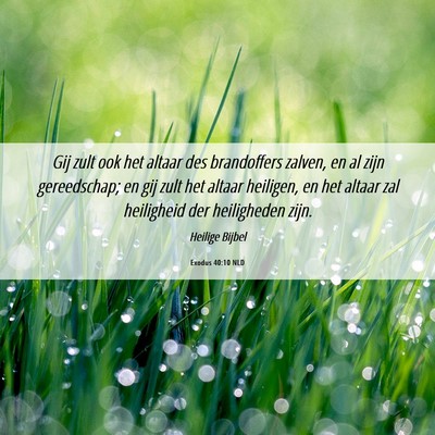 Picture 06 - Exodus 40:10 NLD - Gij zult ook het altaar des brandoffers zalven, - Bible Verse Picture