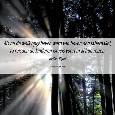 Picture 06 - Exodus 40:36 NLD - Als nu de wolk opgeheven werd van boven den - Bible Verse Picture