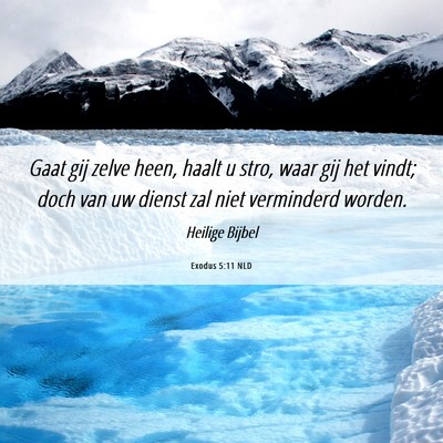 Picture 06 - Exodus 5:11 NLD - Gaat gij zelve heen, haalt u stro, waar gij het - Bible Verse Picture