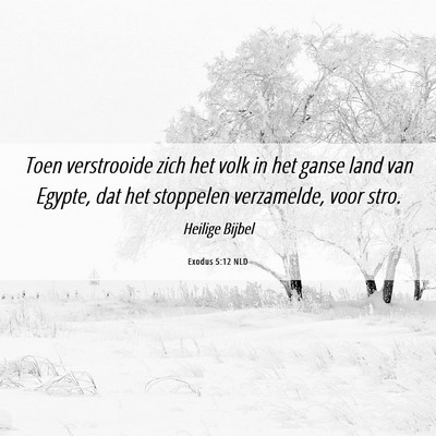 Picture 06 - Exodus 5:12 NLD - Toen verstrooide zich het volk in het ganse land - Bible Verse Picture