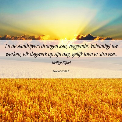 Picture 06 - Exodus 5:13 NLD - En de aandrijvers drongen aan, zeggende: - Bible Verse Picture
