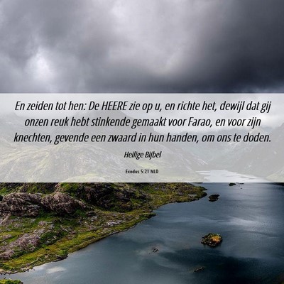 Picture 06 - Exodus 5:21 NLD - En zeiden tot hen: De HEERE zie op u, en richte - Bible Verse Picture