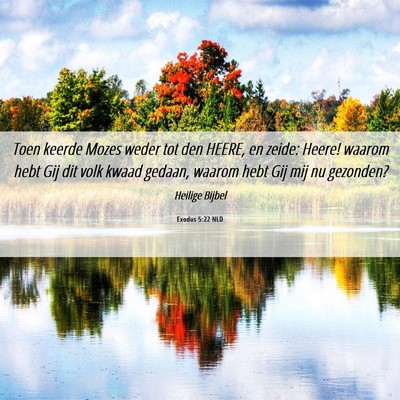 Picture 06 - Exodus 5:22 NLD - Toen keerde Mozes weder tot den HEERE, en zeide: - Bible Verse Picture