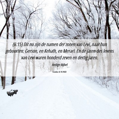 Picture 06 - Exodus 6:16 NLD - (6:15) Dit nu zijn de namen der zonen van Levi, - Bible Verse Picture