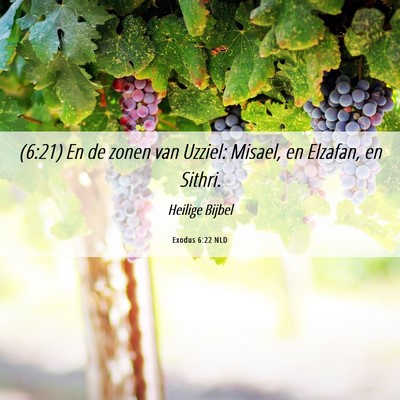 Picture 06 - Exodus 6:22 NLD - (6:21) En de zonen van Uzziel: Misael, en - Bible Verse Picture