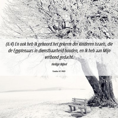 Picture 06 - Exodus 6:5 NLD - (6:4) En ook heb Ik gehoord het gekerm der - Bible Verse Picture