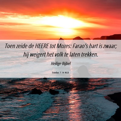 Picture 06 - Exodus 7:14 NLD - Toen zeide de HEERE tot Mozes: Farao's hart is - Bible Verse Picture