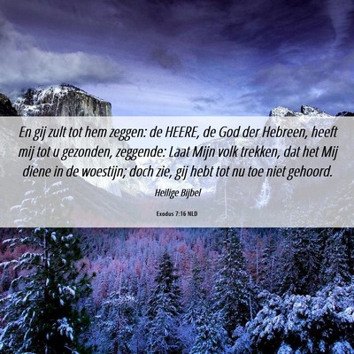 Picture 06 - Exodus 7:16 NLD - En gij zult tot hem zeggen: de HEERE, de God der - Bible Verse Picture