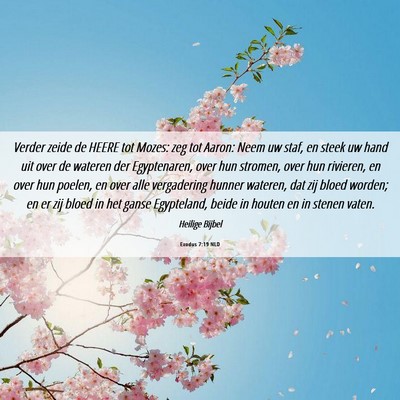 Picture 06 - Exodus 7:19 NLD - Verder zeide de HEERE tot Mozes: zeg tot Aaron: - Bible Verse Picture