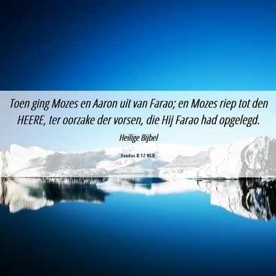 Picture 06 - Exodus 8:12 NLD - Toen ging Mozes en Aaron uit van Farao; en Mozes - Bible Verse Picture
