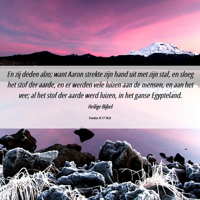 Picture 06 - Exodus 8:17 NLD - En zij deden alzo; want Aaron strekte zijn hand - Bible Verse Picture