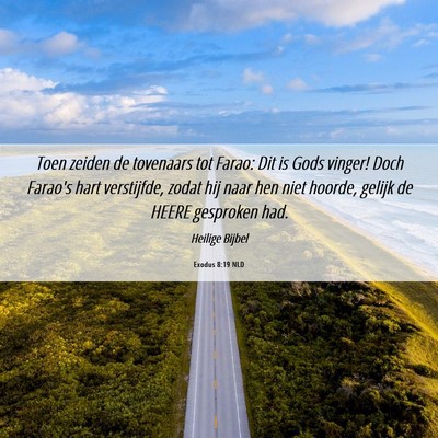 Picture 06 - Exodus 8:19 NLD - Toen zeiden de tovenaars tot Farao: Dit is Gods - Bible Verse Picture