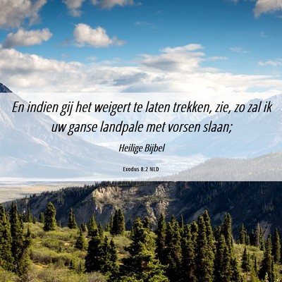 Picture 06 - Exodus 8:2 NLD - En indien gij het weigert te laten trekken, zie, - Bible Verse Picture