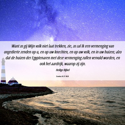 Picture 06 - Exodus 8:21 NLD - Want zo gij Mijn volk niet laat trekken, zie, zo - Bible Verse Picture