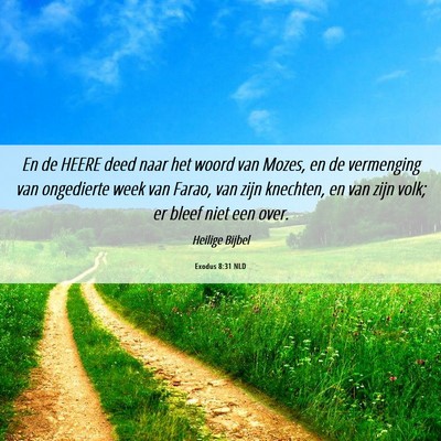Picture 06 - Exodus 8:31 NLD - En de HEERE deed naar het woord van Mozes, en de - Bible Verse Picture