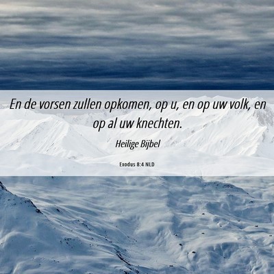 Picture 06 - Exodus 8:4 NLD - En de vorsen zullen opkomen, op u, en op uw volk, - Bible Verse Picture