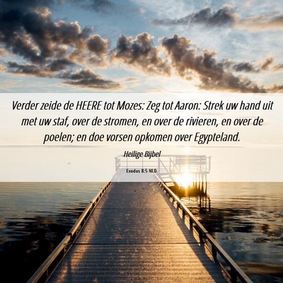 Picture 06 - Exodus 8:5 NLD - Verder zeide de HEERE tot Mozes: Zeg tot Aaron: - Bible Verse Picture