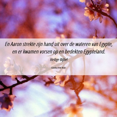 Picture 06 - Exodus 8:6 NLD - En Aaron strekte zijn hand uit over de wateren - Bible Verse Picture