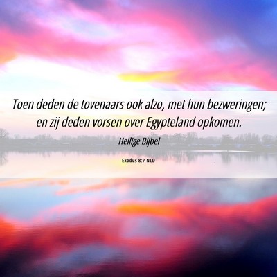 Picture 06 - Exodus 8:7 NLD - Toen deden de tovenaars ook alzo, met hun - Bible Verse Picture