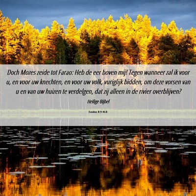Picture 06 - Exodus 8:9 NLD - Doch Mozes zeide tot Farao: Heb de eer boven mij! - Bible Verse Picture
