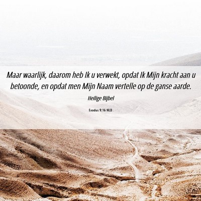 Picture 06 - Exodus 9:16 NLD - Maar waarlijk, daarom heb Ik u verwekt, opdat Ik - Bible Verse Picture
