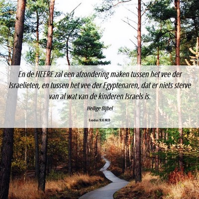 Picture 06 - Exodus 9:4 NLD - En de HEERE zal een afzondering maken tussen het - Bible Verse Picture