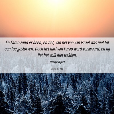 Picture 06 - Exodus 9:7 NLD - En Farao zond er heen, en ziet, van het vee van - Bible Verse Picture