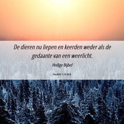 Picture 06 - Ezechiël 1:14 NLD - De dieren nu liepen en keerden weder als de - Bible Verse Picture