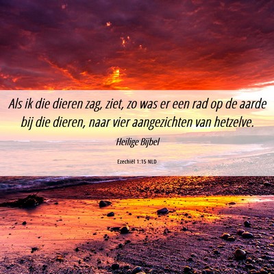 Picture 06 - Ezechiël 1:15 NLD - Als ik die dieren zag, ziet, zo was er een rad op - Bible Verse Picture