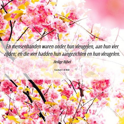 Picture 06 - Ezechiël 1:8 NLD - En mensenhanden waren onder hun vleugelen, aan - Bible Verse Picture