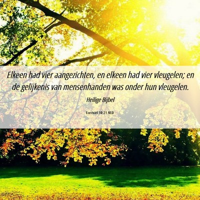 Picture 06 - Ezechiël 10:21 NLD - Elkeen had vier aangezichten, en elkeen had vier - Bible Verse Picture
