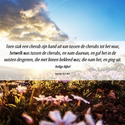 Picture 06 - Ezechiël 10:7 NLD - Toen stak een cherub zijn hand uit van tussen de - Bible Verse Picture