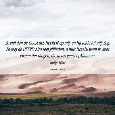 Picture 06 - Ezechiël 11:5 NLD - Zo viel dan de Geest des HEEREN op mij, en Hij - Bible Verse Picture