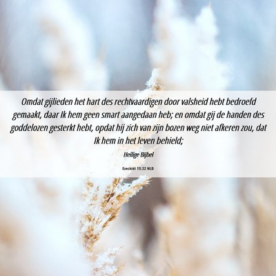 Picture 06 - Ezechiël 13:22 NLD - Omdat gijlieden het hart des rechtvaardigen door - Bible Verse Picture