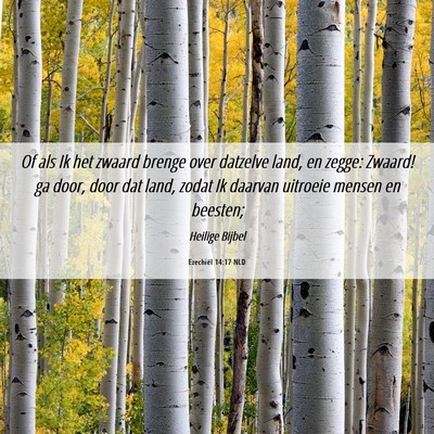 Picture 06 - Ezechiël 14:17 NLD - Of als Ik het zwaard brenge over datzelve land, - Bible Verse Picture