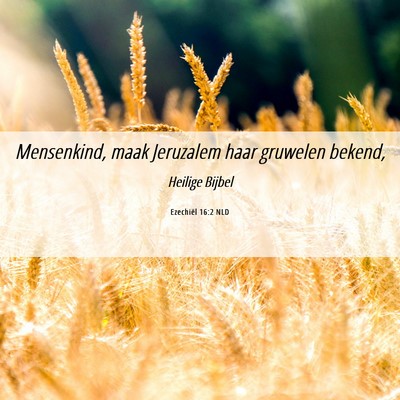 Picture 06 - Ezechiël 16:2 NLD - Mensenkind, maak Jeruzalem haar gruwelen - Bible Verse Picture