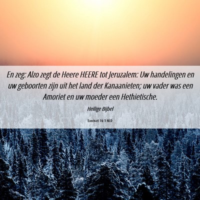 Picture 06 - Ezechiël 16:3 NLD - En zeg: Alzo zegt de Heere HEERE tot Jeruzalem: - Bible Verse Picture
